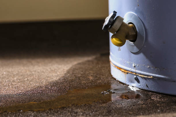 Best Water damage restoration near me  in Chocowinity, NC