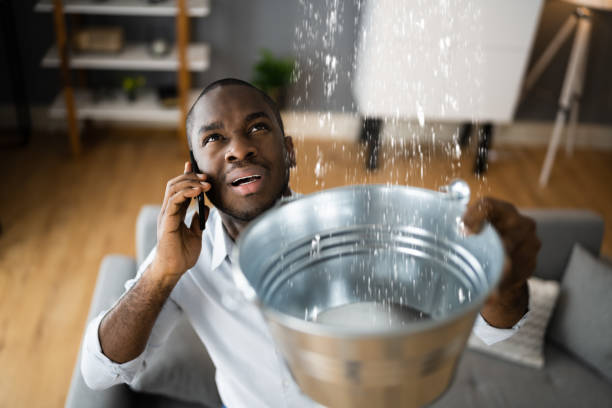 Best Ceiling water damage repair  in Chocowinity, NC