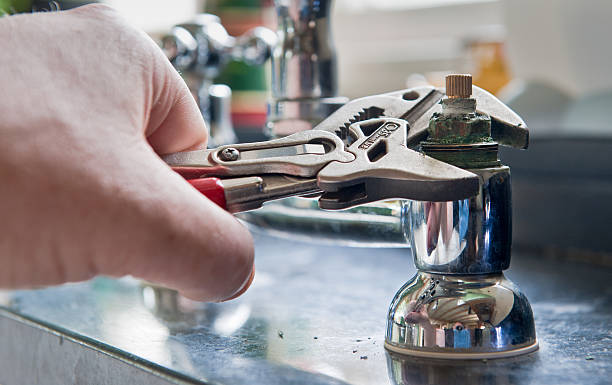 Best Professional water damage repair  in Chocowinity, NC