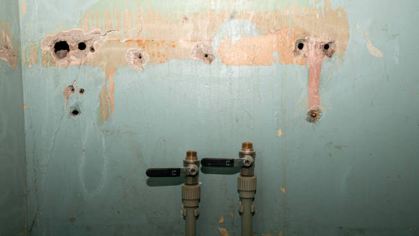  Chocowinity, NC Water damage restoration Pros