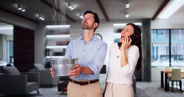 Best Sewage cleanup and water damage restoration  in Chocowinity, NC